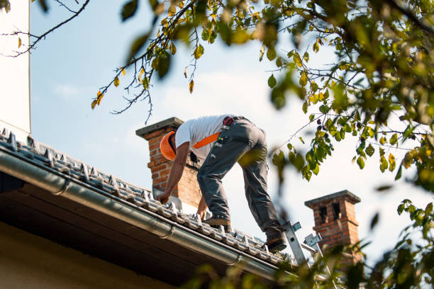Best Slate Roofing Contractor  in Villa Ridge, MO
