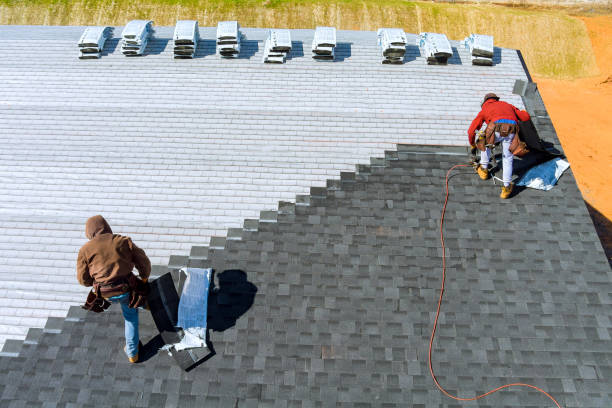 Roof Gutter Cleaning in Villa Ridge, MO
