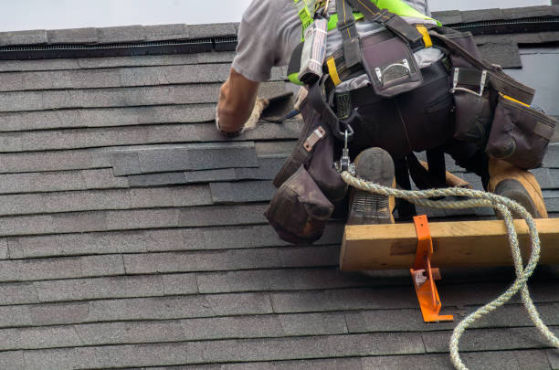 Best Metal Roofing Contractor  in Villa Ridge, MO