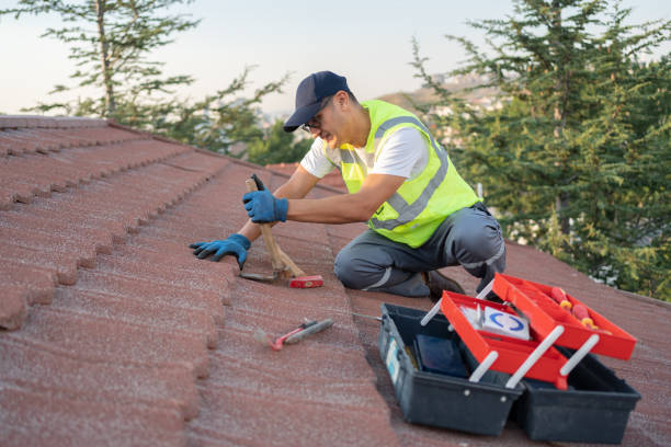 Best Commercial Roofing Services  in Villa Ridge, MO