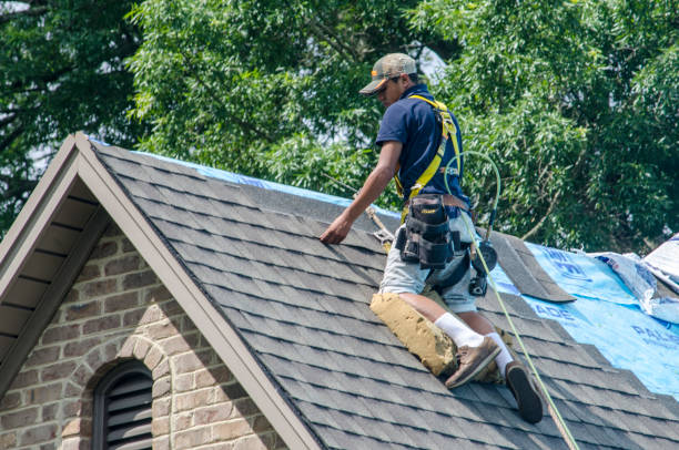 Best Gutter Installation and Roofing  in Villa Ridge, MO